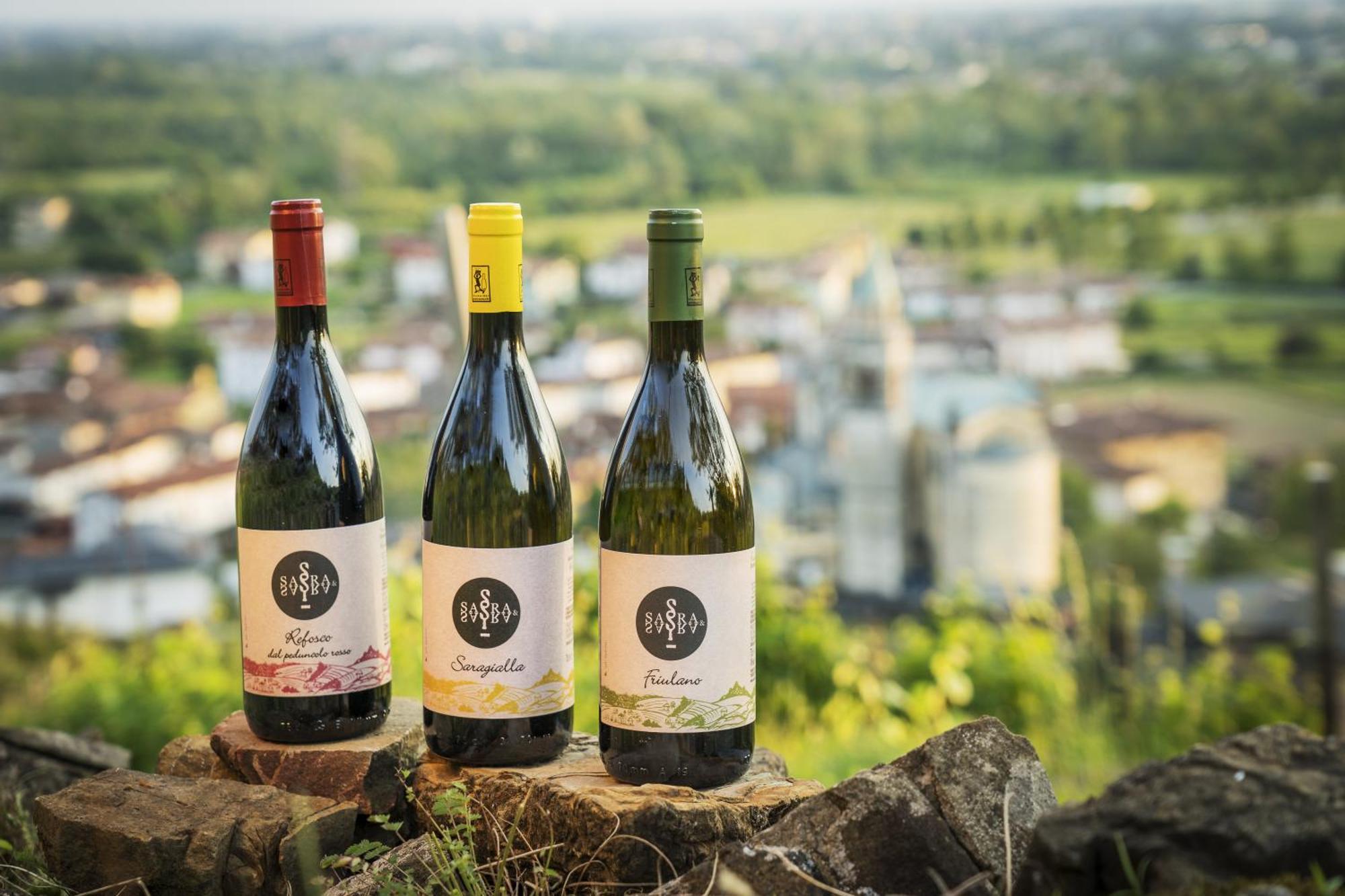 Sara&Sara Alloggio Agrituristico Savorgnano Kültér fotó